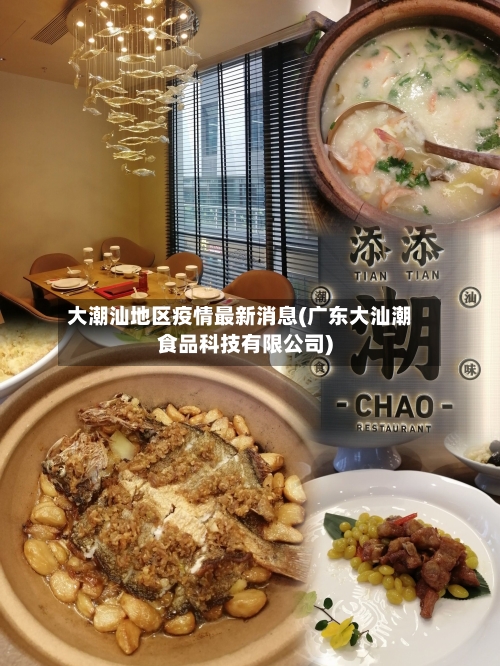 大潮汕地区疫情最新消息(广东大汕潮食品科技有限公司)-第2张图片