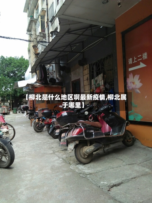 【柳北是什么地区啊最新疫情,柳北属于哪里】-第2张图片
