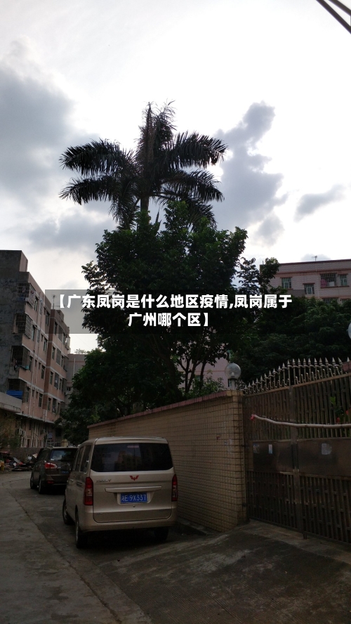 【广东凤岗是什么地区疫情,凤岗属于广州哪个区】-第2张图片