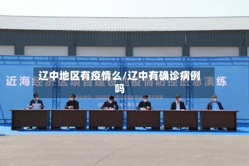辽中地区有疫情么/辽中有确诊病例吗
