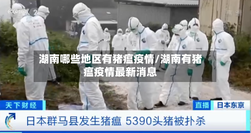 湖南哪些地区有猪瘟疫情/湖南有猪瘟疫情最新消息
