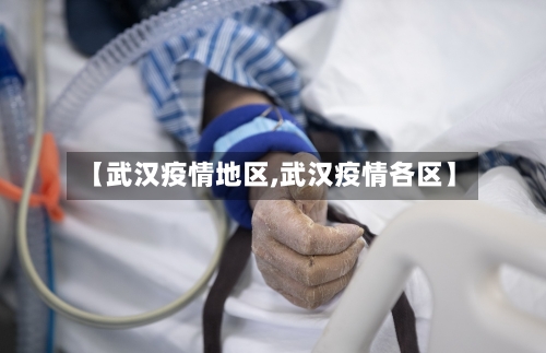 【武汉疫情地区,武汉疫情各区】