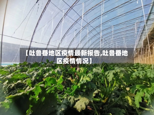 【吐鲁番地区疫情最新报告,吐鲁番地区疫情情况】-第2张图片