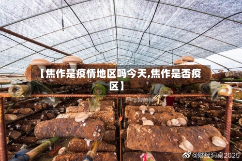 【焦作是疫情地区吗今天,焦作是否疫区】-第2张图片