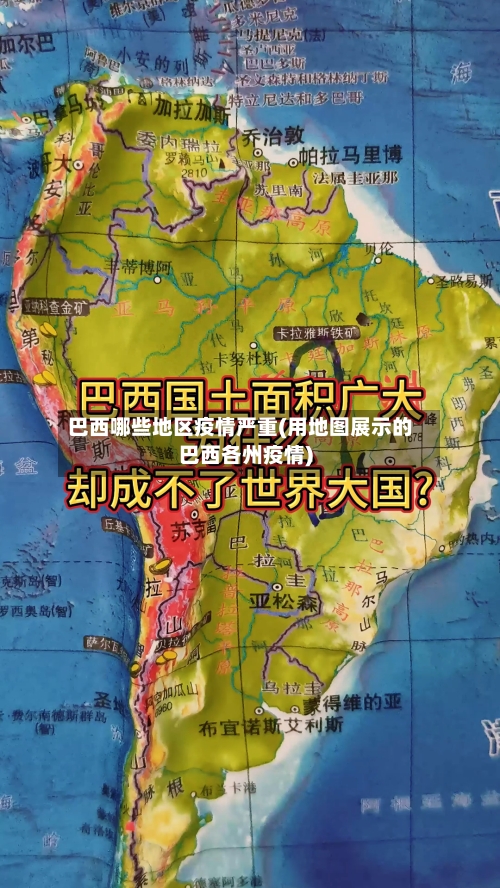 巴西哪些地区疫情严重(用地图展示的巴西各州疫情)