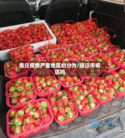 宿迁疫情严重地区划分为/宿迁市疫区吗-第2张图片