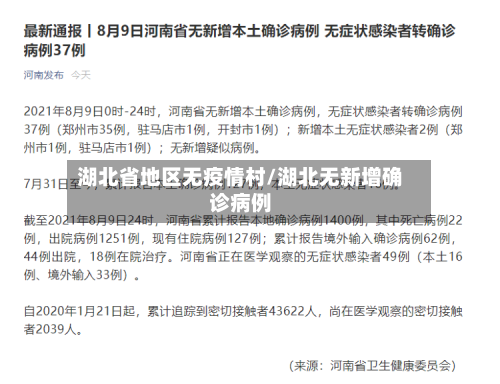 湖北省地区无疫情村/湖北无新增确诊病例