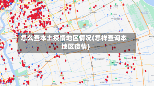 怎么查本土疫情地区情况(怎样查询本地区疫情)