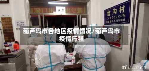 葫芦岛市各地区疫情情况/葫芦岛市疫情行程-第2张图片