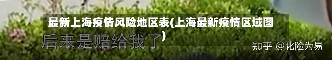 最新上海疫情风险地区表(上海最新疫情区域图)-第2张图片