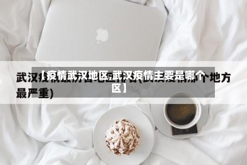 【疫情武汉地区,武汉疫情主要是哪个区】