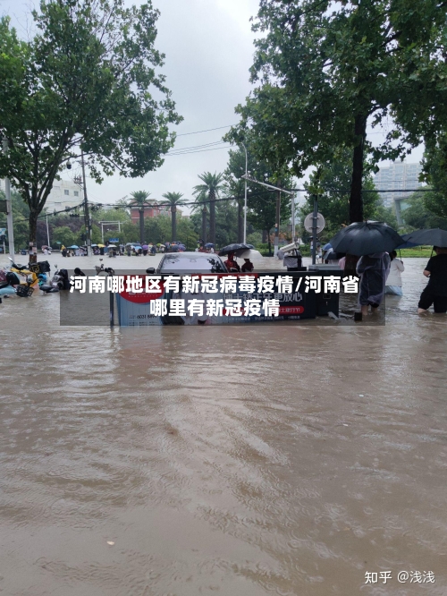 河南哪地区有新冠病毒疫情/河南省哪里有新冠疫情-第2张图片